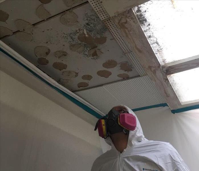 SERVPRO technician in ppe mitigating a ceiling with mold.