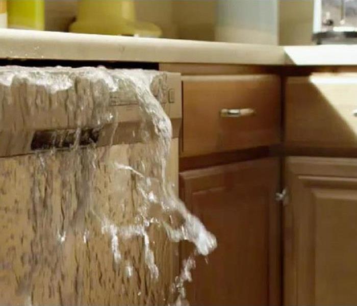 Water bursting out of a dishwasher.