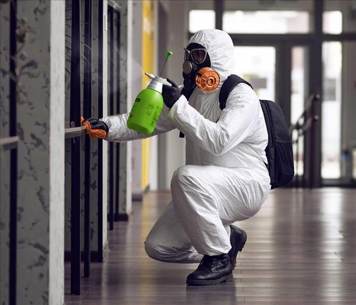 SERVPRO has specialized in mold removal for over 50 years