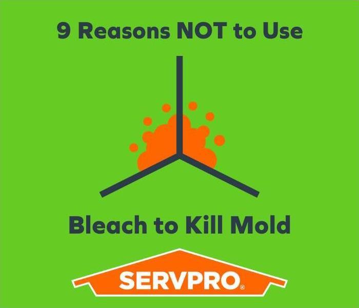 servpro 9 reasons not to use bleach on mold downey montebello compton vernon