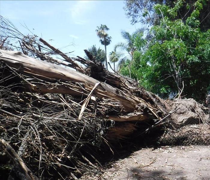 tree removal services, tree fell on roof repair, near me servpro downey