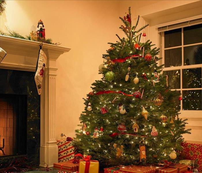 Photo of christmas tree in living room