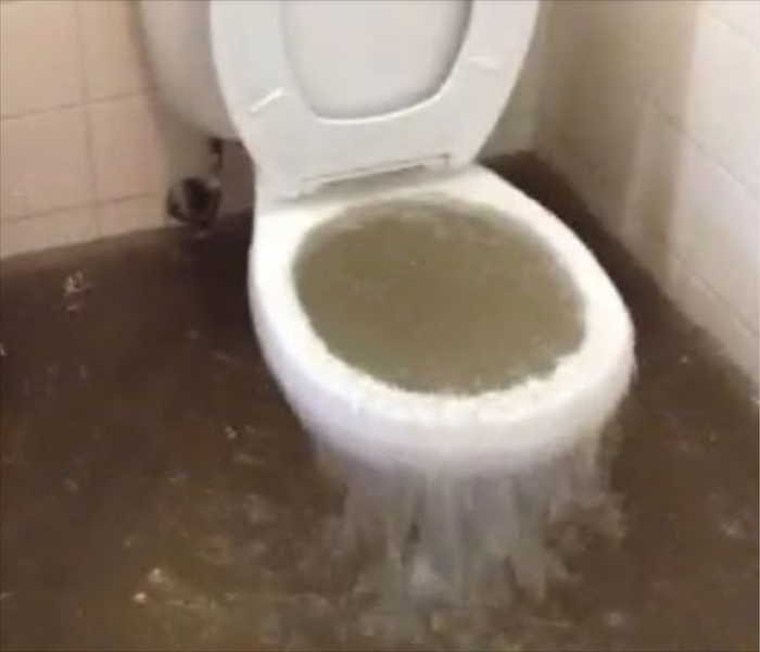 Toilet overflow